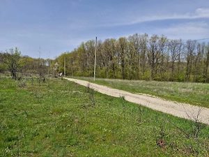 Teren extravilan langa Padurea Saru, direct de la proprietar! - imagine 3