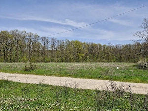 Teren extravilan langa Padurea Saru, direct de la proprietar!