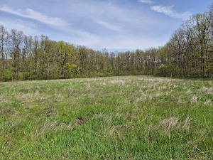 Teren extravilan langa Padurea Saru, direct de la proprietar! - imagine 6