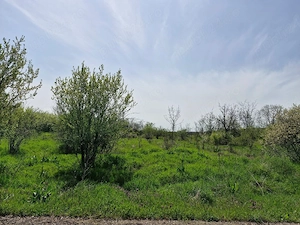 Teren extravilan langa Padurea Saru, direct de la proprietar! - imagine 4