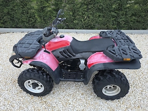 Linhai 300 Aniversary, 4x2 ,  cu Troliu - imagine 4