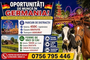 Muncă Germania       plecări rapide