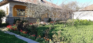 Casa la tara cu teren   curte mare