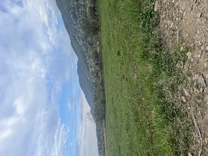 Teren Copalnic Manastur - imagine 2