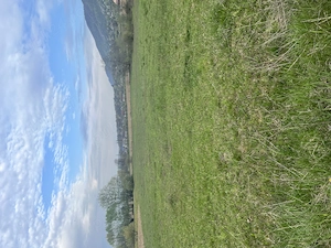 Teren Copalnic Manastur - imagine 3