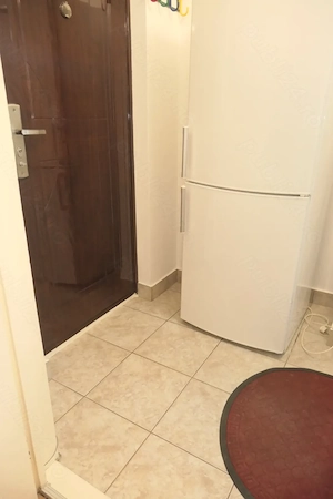 Garsonieră confort 1, mobilată si utilată, Vlaicu - Lebăda, et. 1 - imagine 3