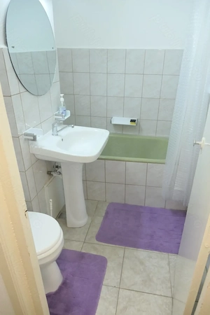 Garsonieră confort 1, mobilată si utilată, Vlaicu - Lebăda, et. 1 - imagine 9