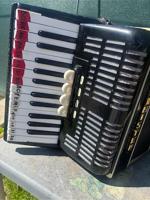 acordeon weltmeister 40 basi