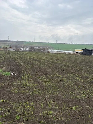 Teren intravilan 2000 mp   Sat. Negrea, 15 E mp. - imagine 2