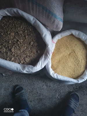 vind șiroturi de soia și floare 