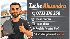 Plase țânțari pe comandă   măsurători + montaj