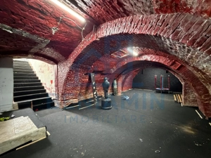 Spatiu generos D+P+1 - 414mp - pozitionare centrala - Green House - imagine 8