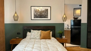 Garsoniera splendida in zona Dacia - piata Gemeni - imagine 8