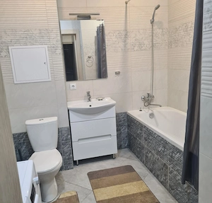 Apartament cu 2 camere de inchiriat in zona Take Ionescu - imagine 4