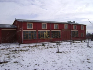 Hală industrială de închiriat – Dumbrăveni | Spațiu versatil 600 mp - imagine 17