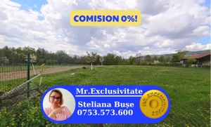 Teren mixt de vânzare Crasna Gorj, aproape de Rânca– 19.209 mp