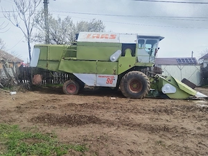 vind cimbuna cereale  - imagine 4