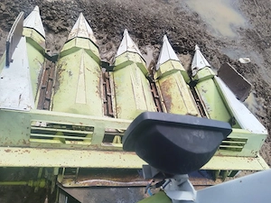 vind cimbuna cereale  - imagine 5