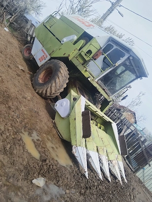 vind cimbuna cereale  - imagine 10