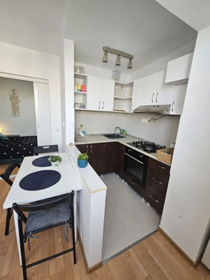Închiriez apartament 2 camere, Unirii - Cocor, metrou 1 min, Petfriend - imagine 6