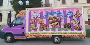 Foodtruck IVECO Gogoșerie  - imagine 8