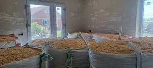 Porumb     Orzoaica de toamnă 