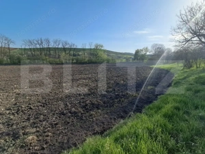 Casă de vânzare la țară – Sat Nandra, Comuna Bichiș, Județ Mureș - imagine 11