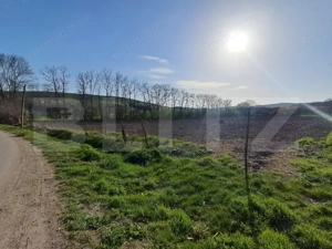 Casă de vânzare la țară – Sat Nandra, Comuna Bichiș, Județ Mureș - imagine 12