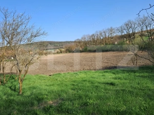 Casă de vânzare la țară – Sat Nandra, Comuna Bichiș, Județ Mureș - imagine 17