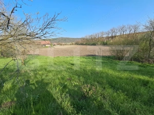 Casă de vânzare la țară – Sat Nandra, Comuna Bichiș, Județ Mureș - imagine 7