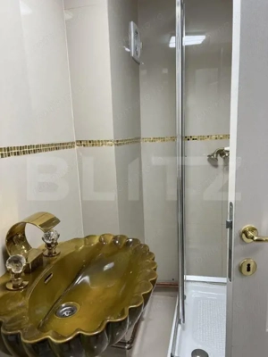 Apartament de 3 camere, zona Independentei, oportunitate investitie - imagine 9