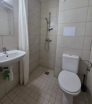 Garsoniera de vanzare in zona Buziasului - imagine 3