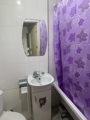 De inchiriat apartament cu o camera in zona Aradului - imagine 3