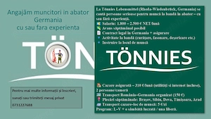 Angajam muncitori in abator Germania cu sau fara experienta