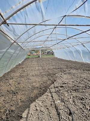 vand solar de legume din fier pret usor negociabil
