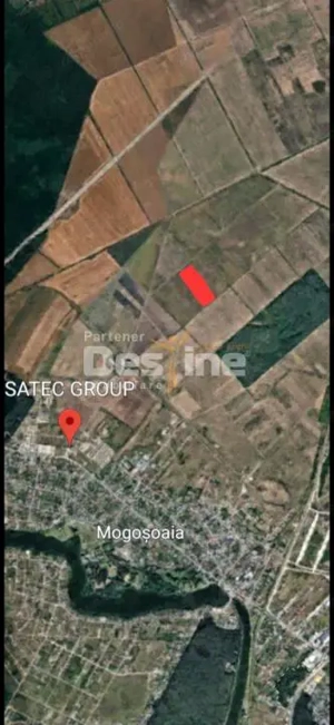 Teren extravilan Mogosoaia