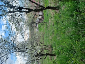 Vand teren intravilant 2000m  sat Merisani