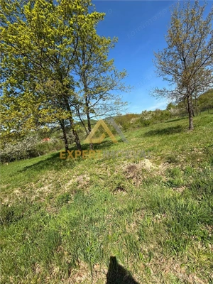 Teren zona deosebita, Tautii Magheraus, 1100 mp pret mic - imagine 2