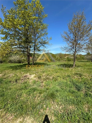 Teren zona deosebita, Tautii Magheraus, 1100 mp pret mic - imagine 4