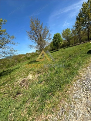 Teren zona deosebita, Tautii Magheraus, 1100 mp pret mic - imagine 3