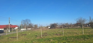 Teren de vânzare în Județul Constanța  - imagine 2