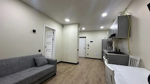 De inchiriat apartament 2 camere in zona Take Ionescu  - imagine 2