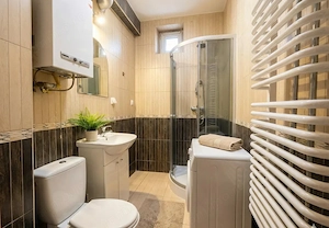 De inchiriat apartament cu 2 camere in zona Sagului - imagine 2