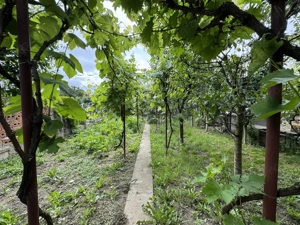 Casa in Lugoj pe Str. Fagetului - imagine 4