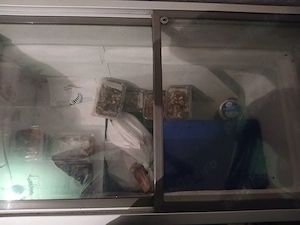 Ladă frigorifică de înghețată 