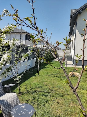 Vând casă 4 camere  Dragomirești Deal, If 