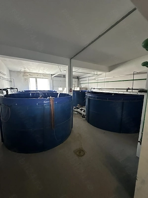 Proprietate unica de vanzare in locatie de top, 1210 mp teren, Dej - imagine 6