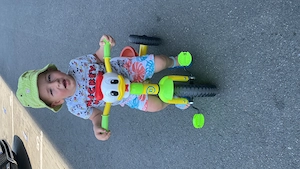 Vând teren Fughiu 1353