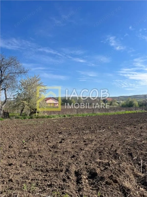 Teren intravilan 2554 mp, com. Prajesti, jud. Bacau - imagine 6