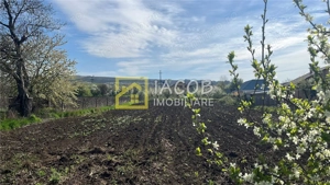Teren intravilan 2554 mp, com. Prajesti, jud. Bacau - imagine 14